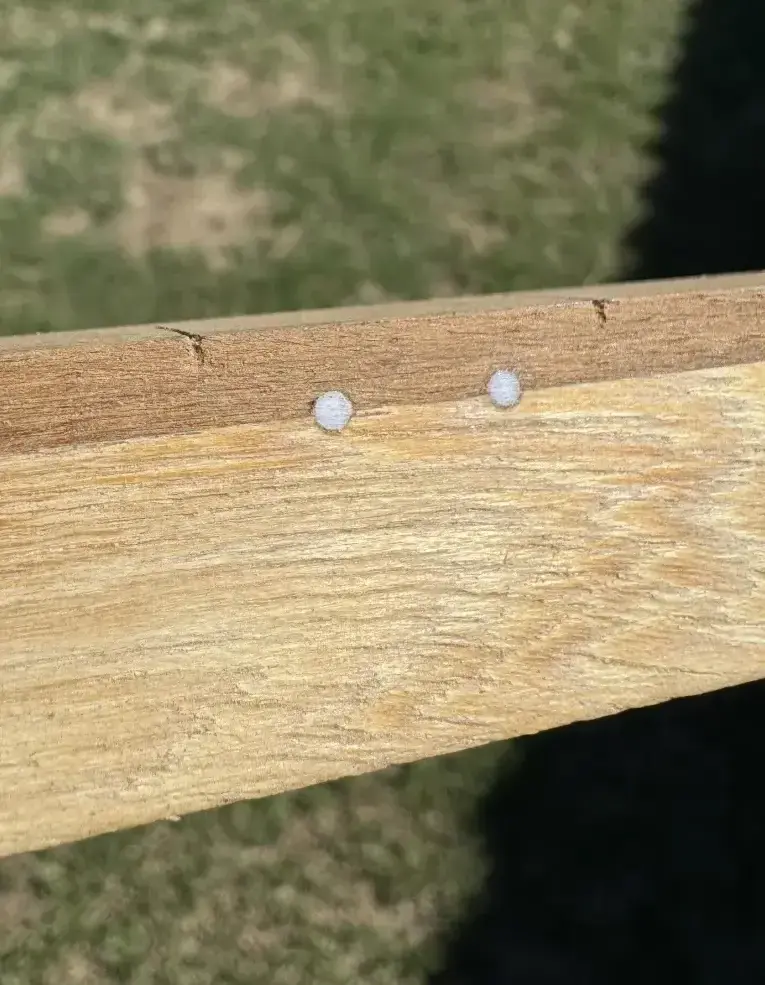 Primo piano dei side dots e dei solchi dei tasti corretti dopo la raggiatura della tastiera del basso